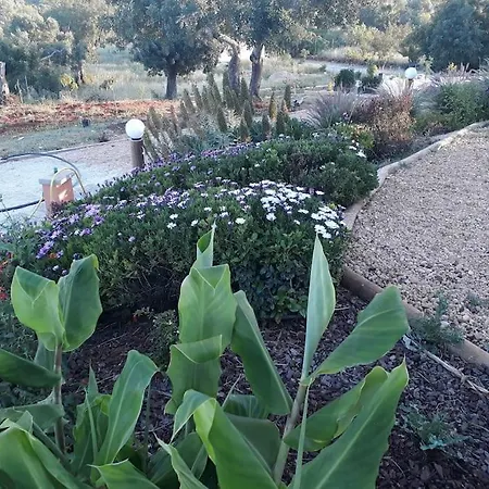 Casa Monte Das Medronheiras 度假居 Vale Covo (Faro)