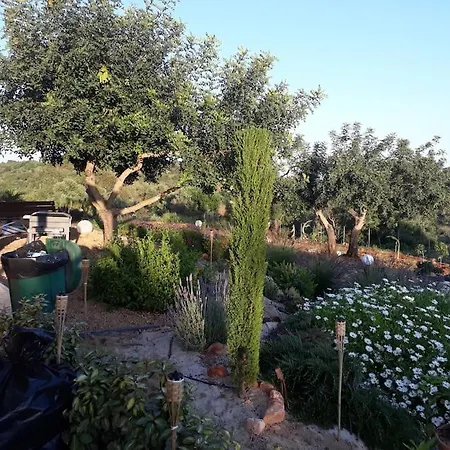 Casa Monte Das Medronheiras * Vale Covo (Faro)